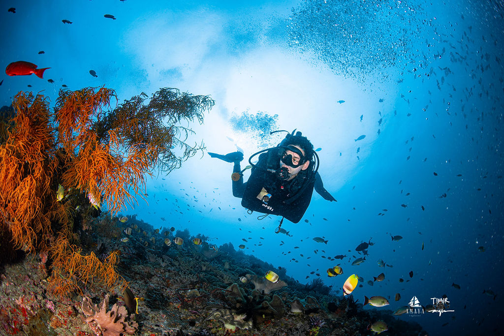 komodo_2025_amaya_1729