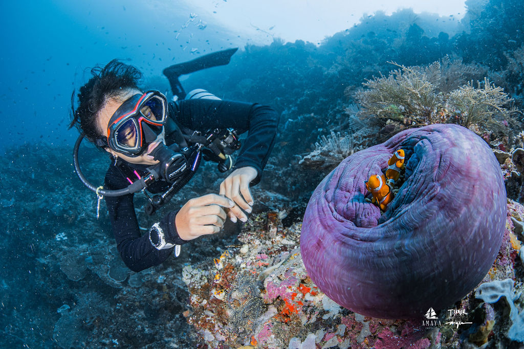 komodo_2025_amaya_2718