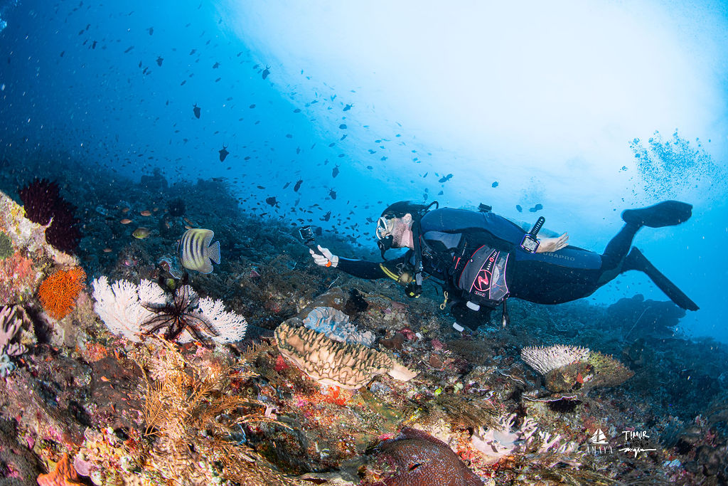 komodo_2025_amaya_2736