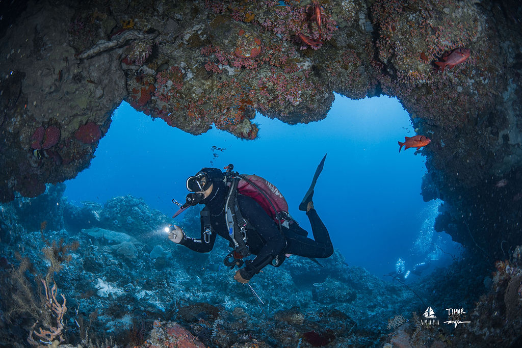 komodo_2025_amaya_2796