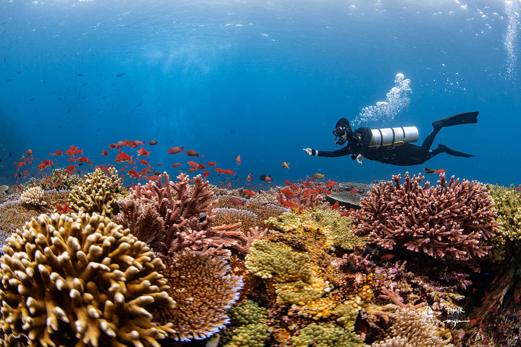 komodo_2025_amaya_2857