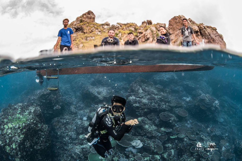 komodo_2025_amaya_2868